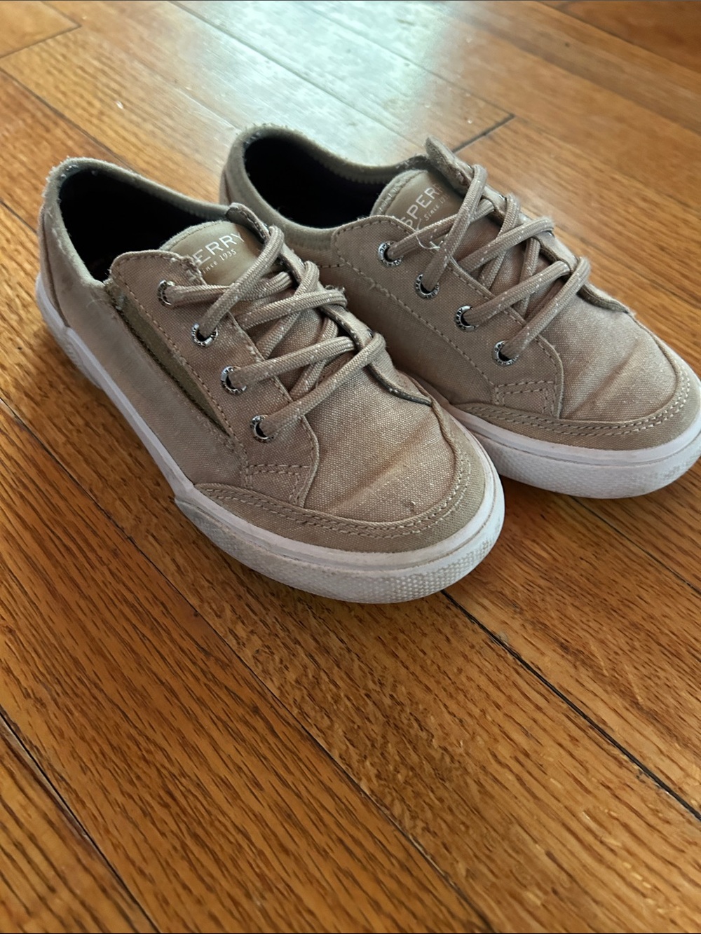 Sperry Kids Beige Canvas Lace-Up Sneakers with White Sole